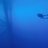 20fathoms
