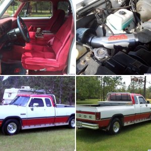 Roy's 92 D-250