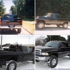 Michigan Black