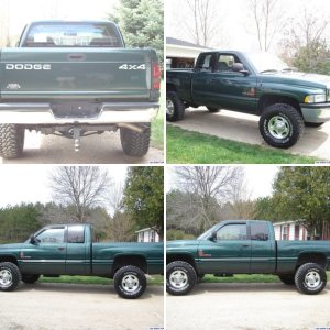 Michigan Green