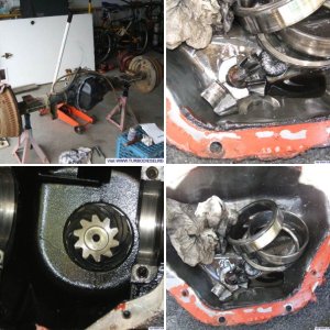 Dana 80 Carnage