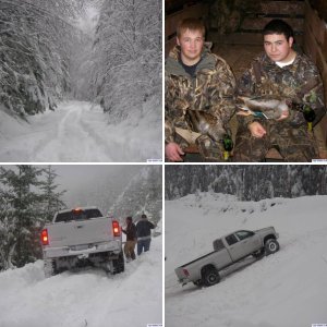 Snow Pics