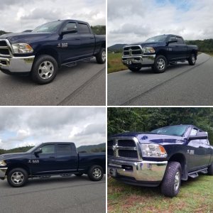 CAROLINA CUMMINS