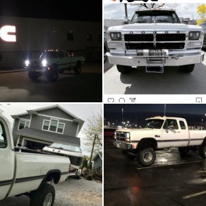 Will's 1993 W250
