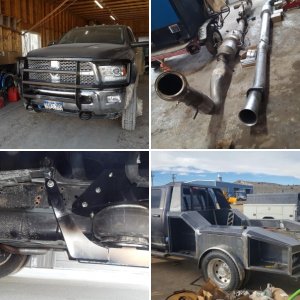 2017 5500