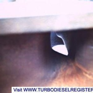 stock head