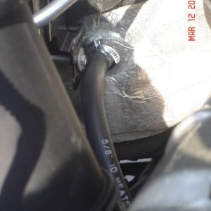Picture_005