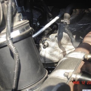 Picture_002