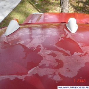 Peeling Clear Coat