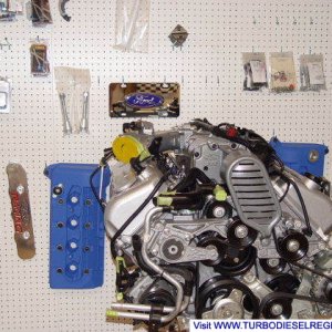 My Project Cobra