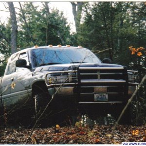Another in the woods pic
