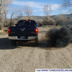 Smarty smoke