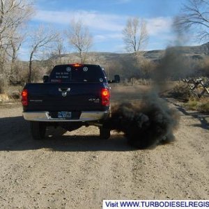 Smarty smoke