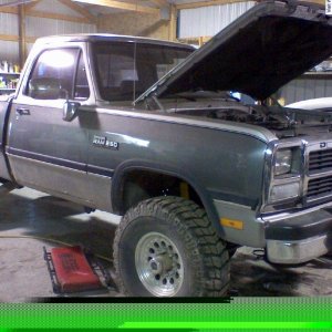 my project, 1993 250