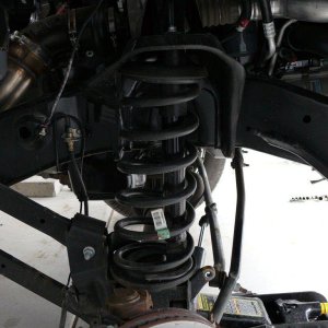 Stock Front
