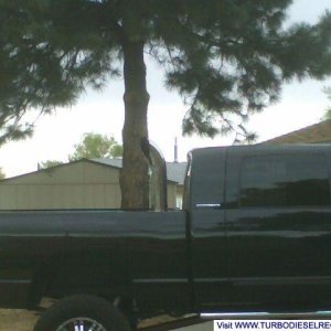 side shot