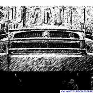 Cummins2