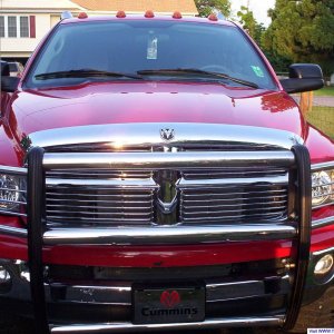 brush guard and bullhorns