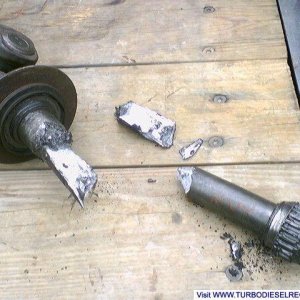 Dana 60 Carnage