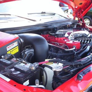 2007 Photos