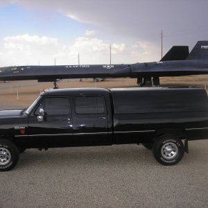 Blackbird!