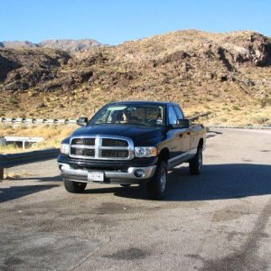 Ram in the desert