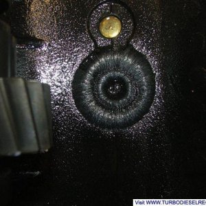 Getrag Magnet