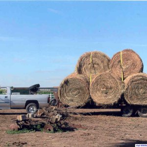 Hauling hay Summer 2007