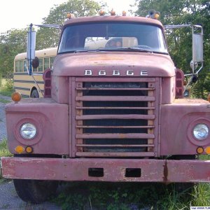 DSCF0537