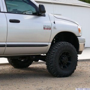 black H2s