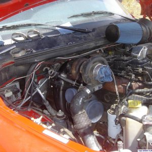HT3B