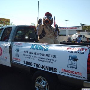 Dusty_Roadrunner_and_KNMB