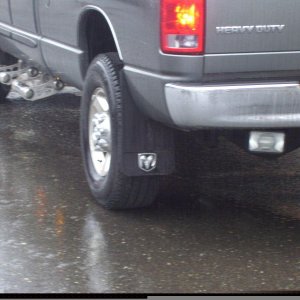 Custom Splash Guards
