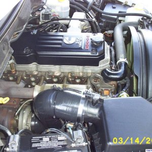 Cool Hose side