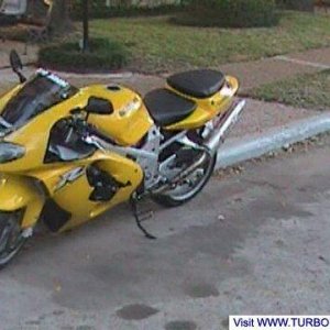 my 99 tl1000r