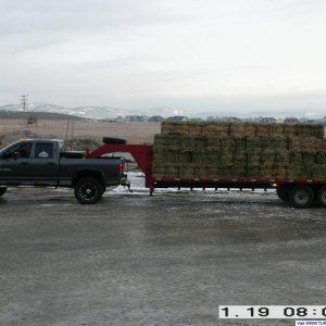 bit o hay