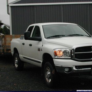Hauling Wood