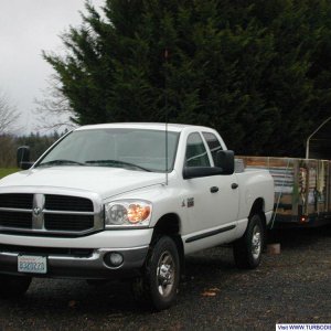 Hauling Wood