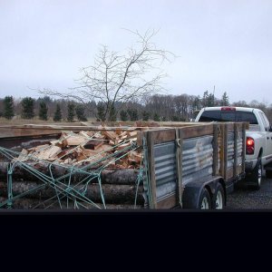 Hauling Wood