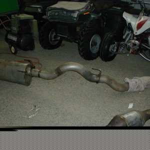 Old Cat and Muffler