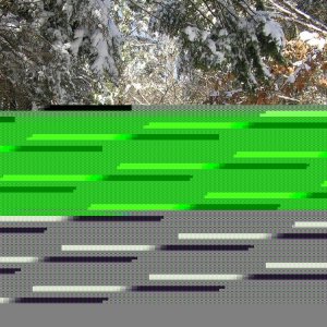 Snowtrail