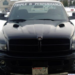 Front shot of same hood.