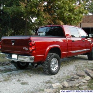Rear view