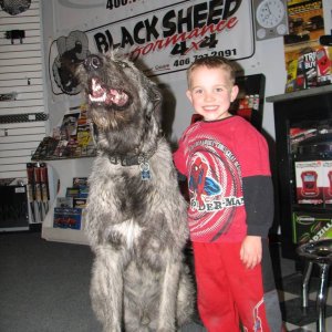 Black_Sheep_Models_004