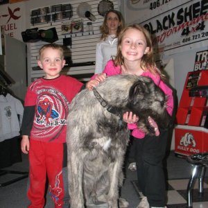 My three kids
