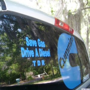 Picture_084