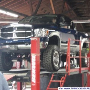 On the Dyno
