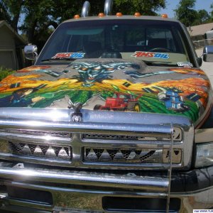 The new hood on the old 95'er