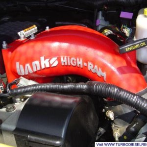 Picture_028