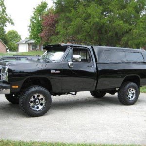 TN Black Beauty
